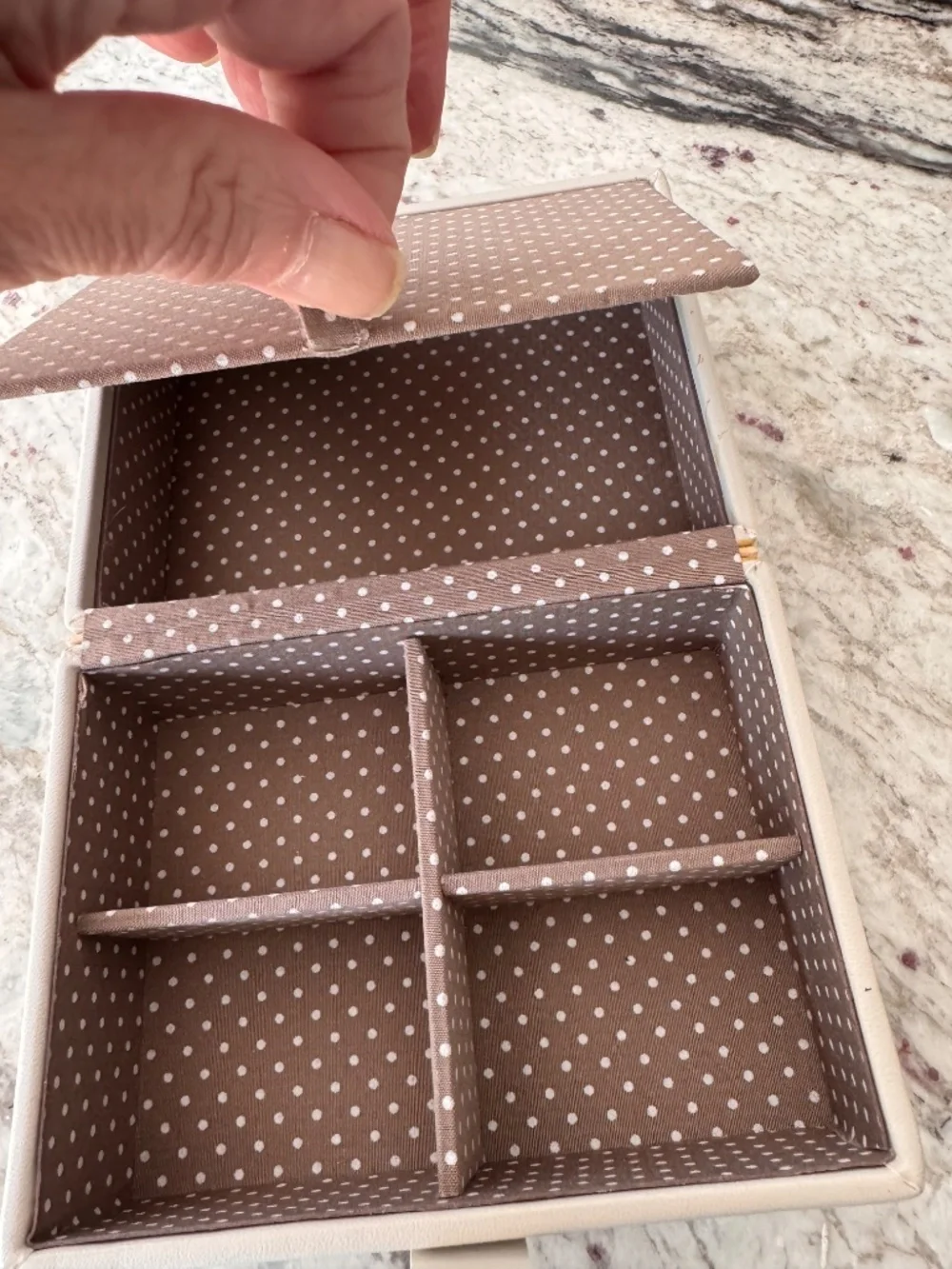 Container Store Travel Jewelry Case